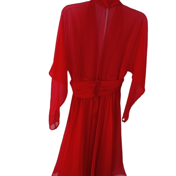 Vintage Farinae Red Rose Dress - Picture 3 of 14